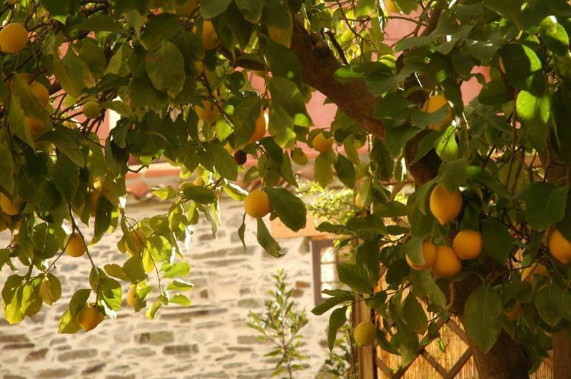 Casa Rural El Arco La Estrella  Dış mekan fotoğraf
